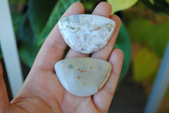 31x45mm Ocean Jasper cabochons (Lot H)