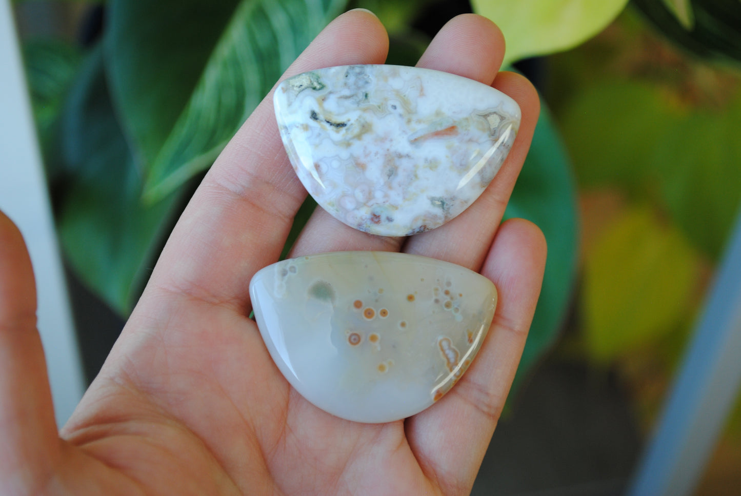 31x45mm Ocean Jasper cabochons (Lot H)