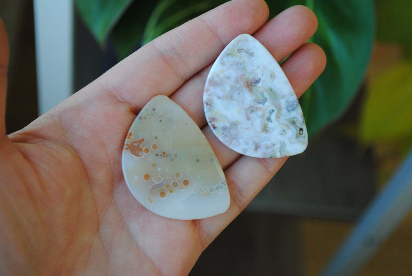 31x45mm Ocean Jasper cabochons (Lot H)