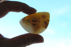 31x45mm Ocean Jasper cabochons (Lot H)