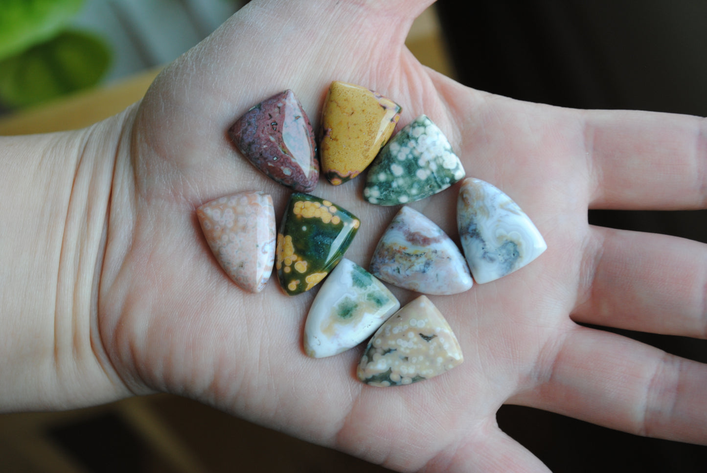 Ocean Jasper 20x15mm shield cabochons