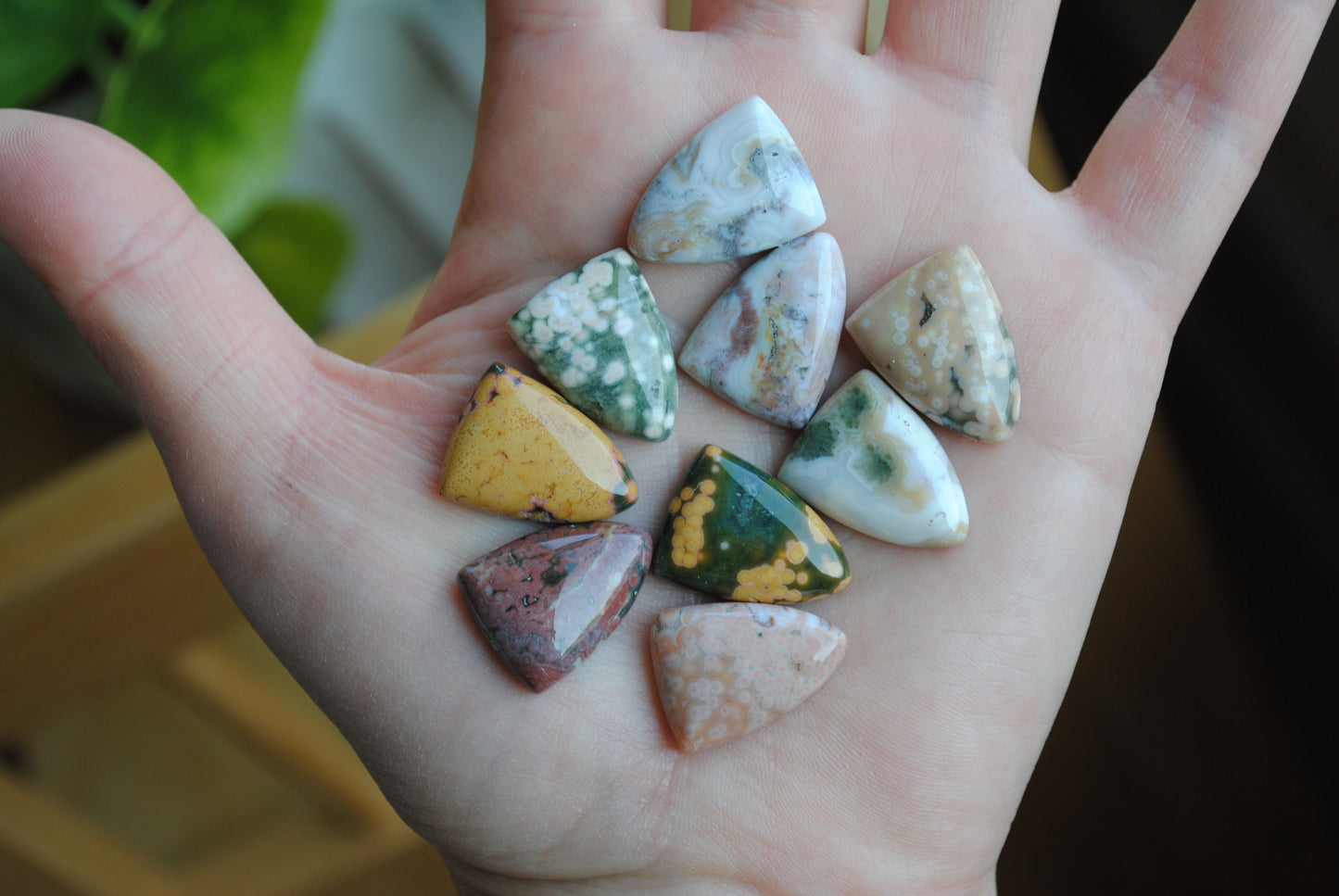 Ocean Jasper 20x15mm shield cabochons