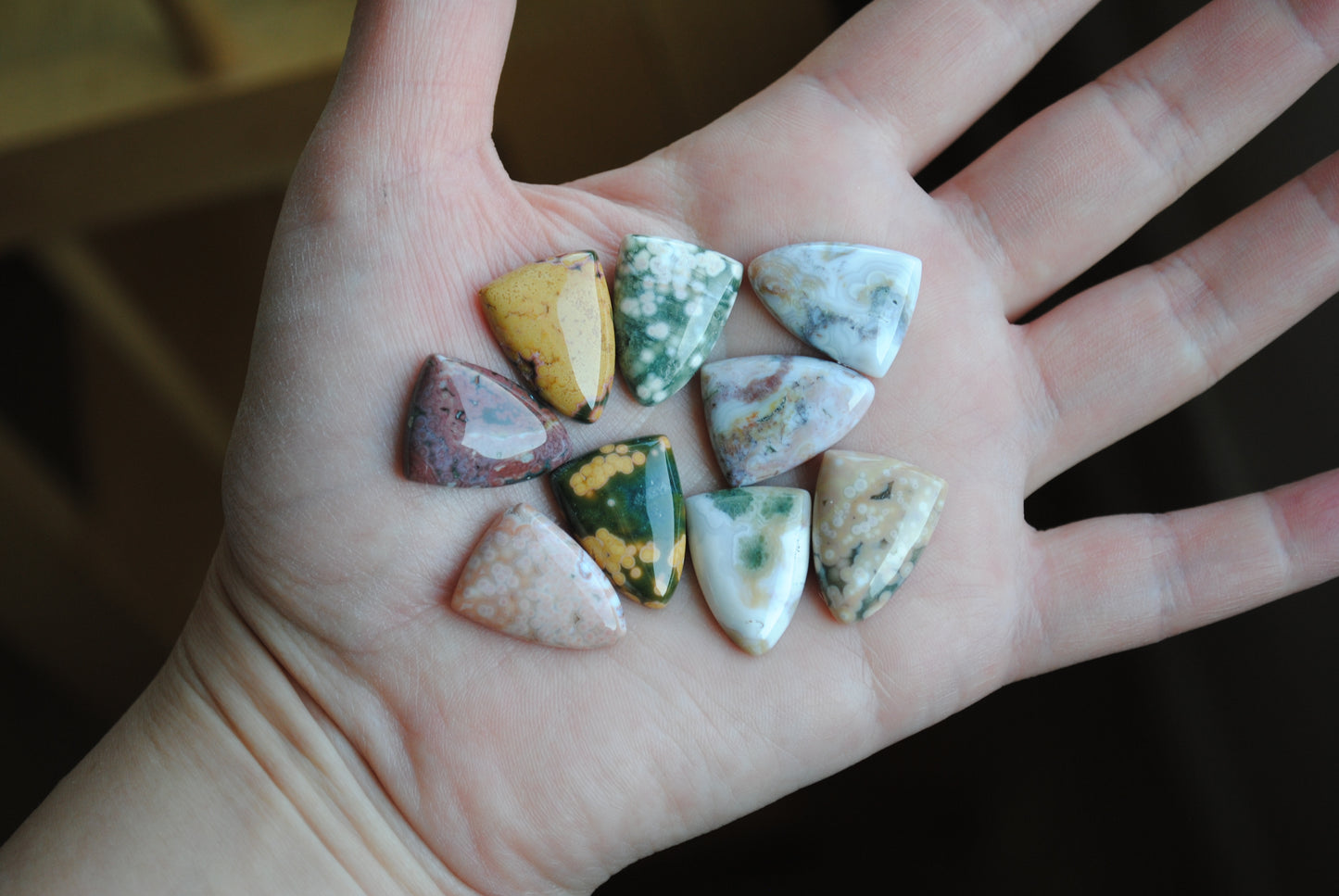 Ocean Jasper 20x15mm shield cabochons