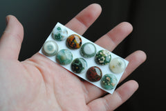 Ocean Jasper 14mm round cabochons