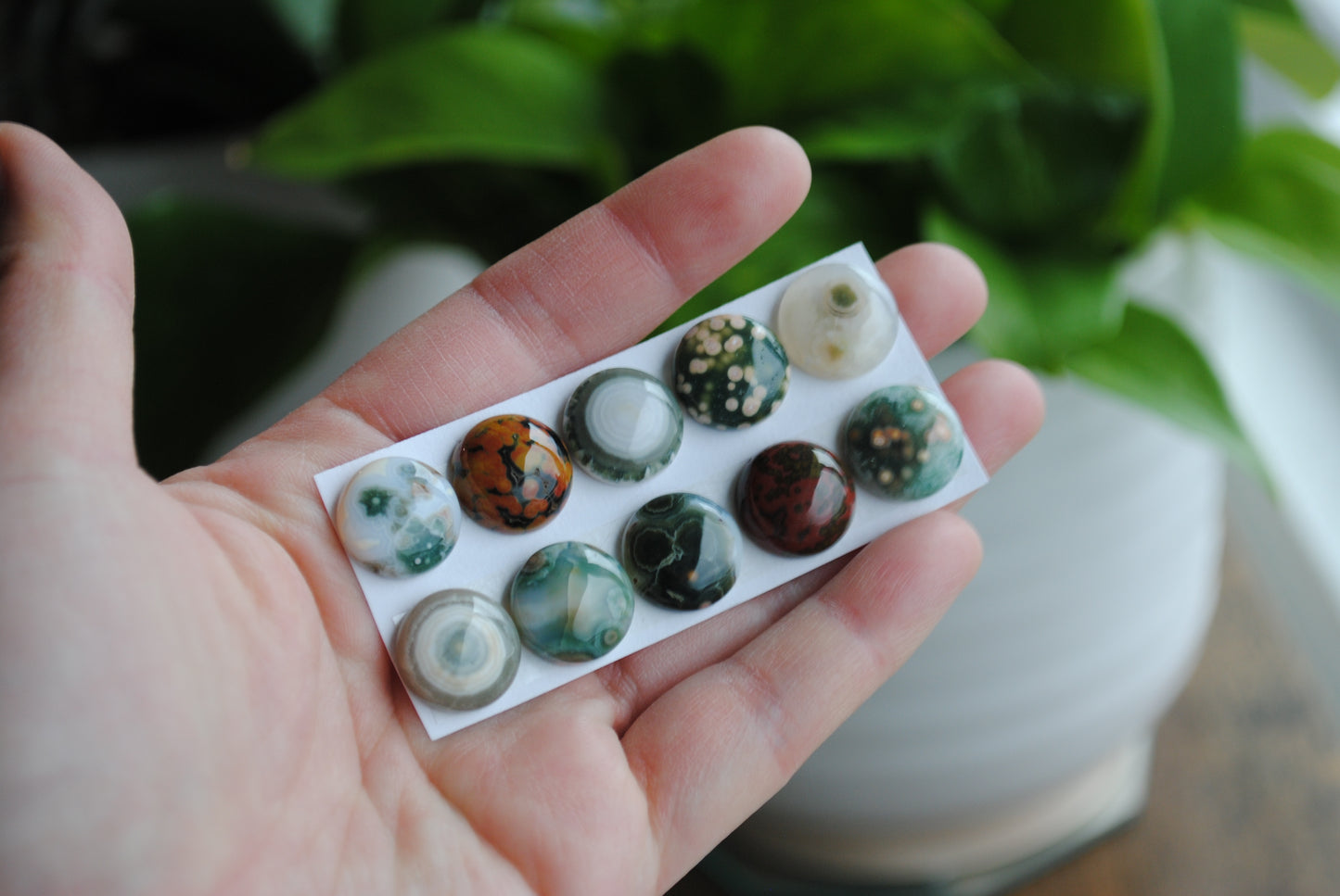 Ocean Jasper 14mm round cabochons