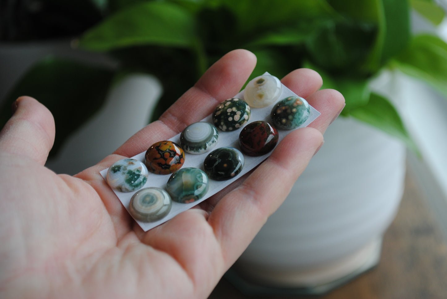 Ocean Jasper 14mm round cabochons