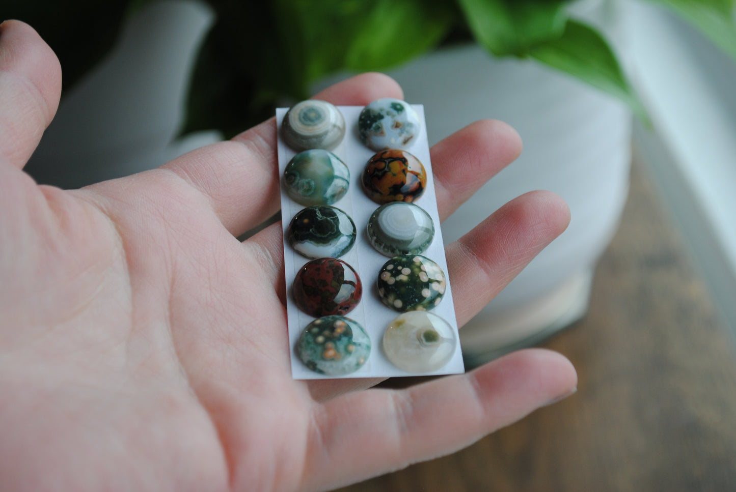 Ocean Jasper 14mm round cabochons