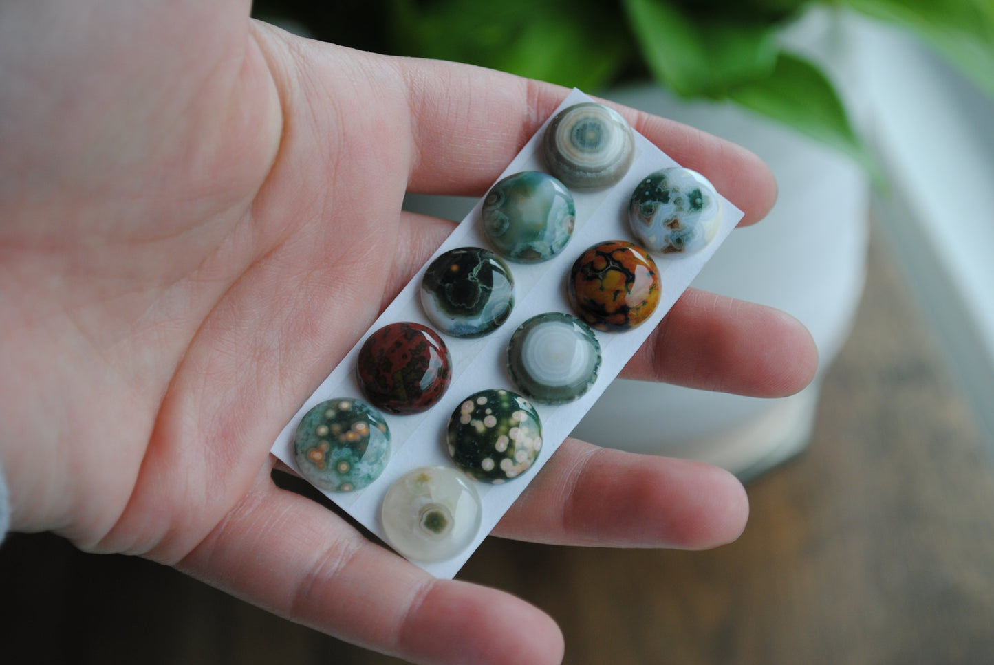 Ocean Jasper 14mm round cabochons