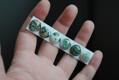 Ocean Jasper 12mm round cabochons