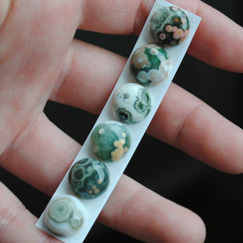 Ocean Jasper 12mm round cabochons