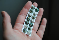 Ocean Jasper 10mm round cabochons