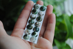 Ocean Jasper 10mm round cabochons