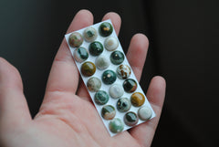 Ocean Jasper 10mm round cabochons (lot aa)