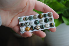 Ocean Jasper 10mm round cabochons (lot aa)