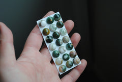 Ocean Jasper 10mm round cabochons (lot bb)