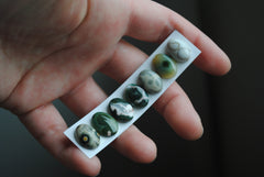 Ocean Jasper 10x14mm oval cabochons
