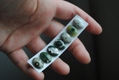 Ocean Jasper 10x14mm oval cabochons