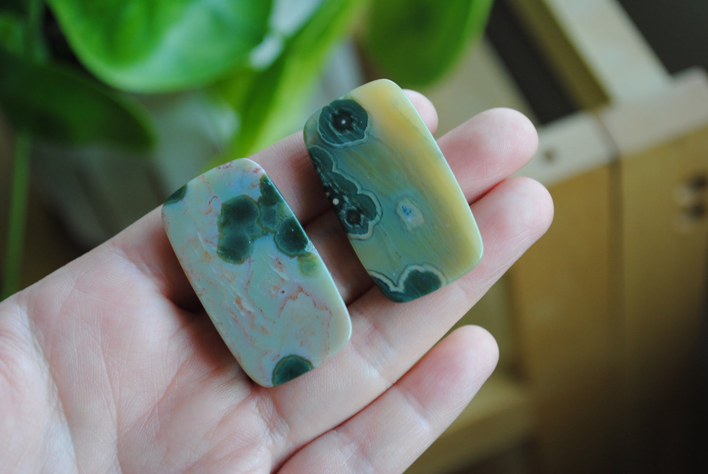 Rectangle 40x22mm Ocean Jasper cabochons