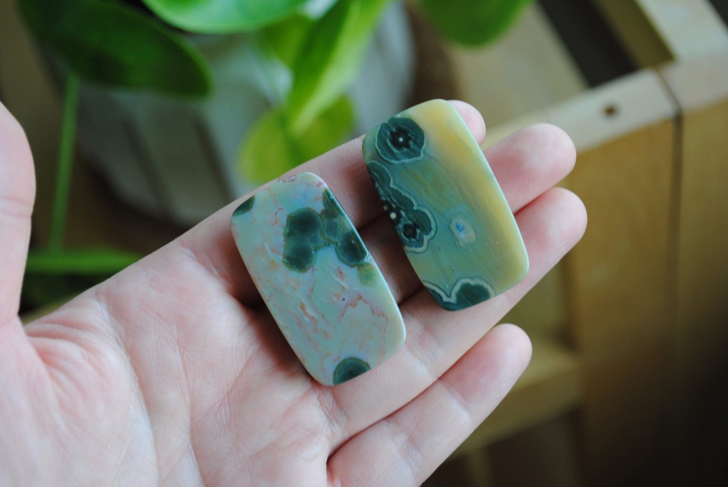 Rectangle 40x22mm Ocean Jasper cabochons