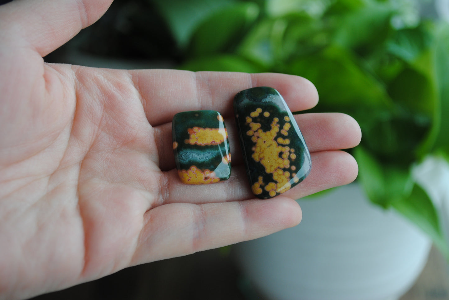 Ocean Jasper freeform cabochons
