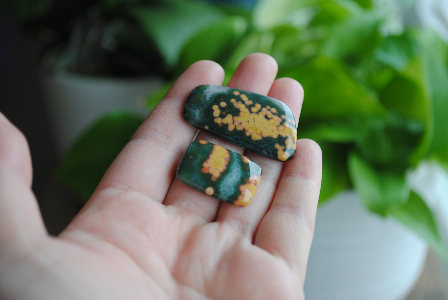 Ocean Jasper freeform cabochons