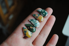 11x21mm comma Ocean Jasper cabochons
