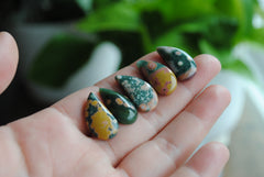 11x21mm comma Ocean Jasper cabochons