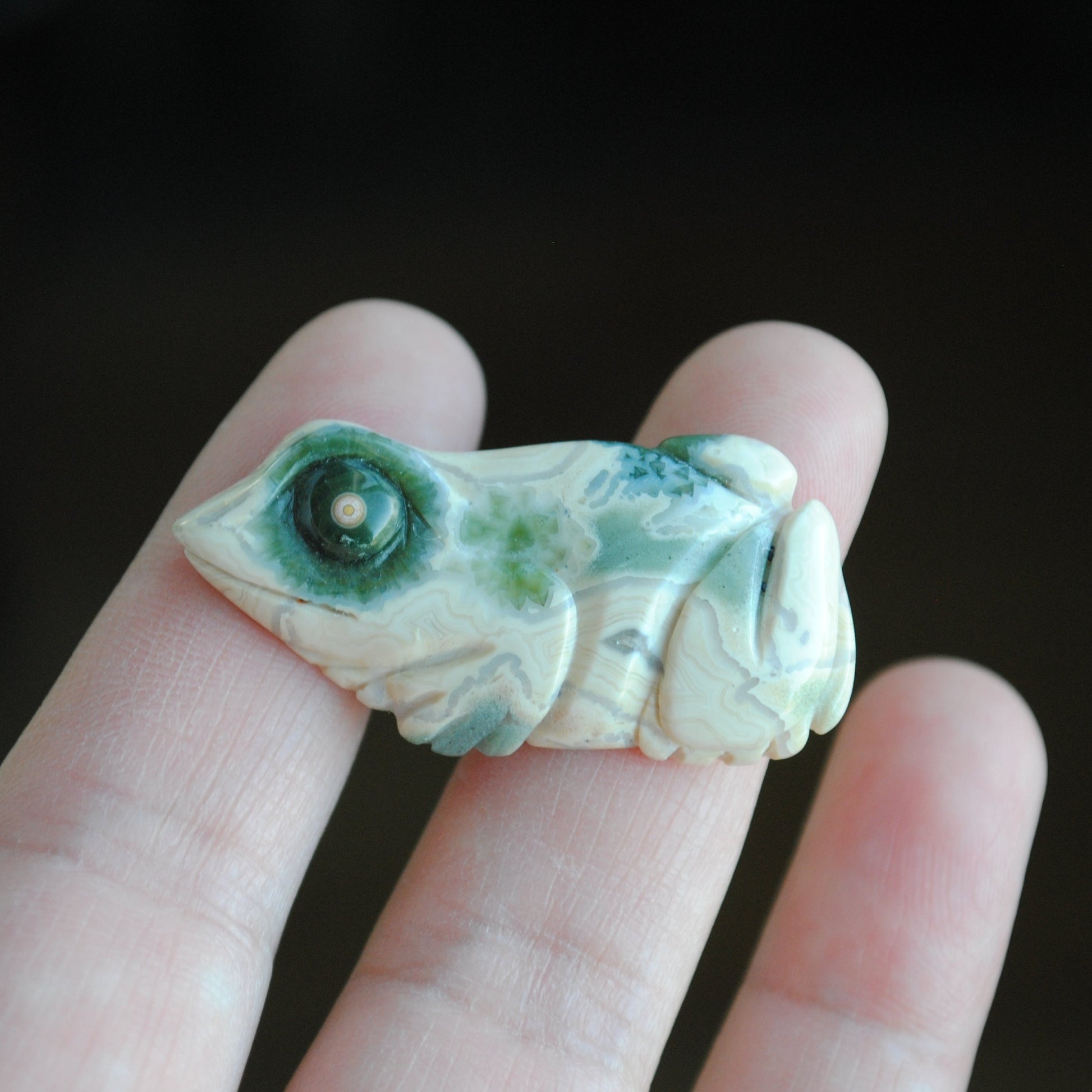 Carved stone frog held in a hand against a dark background