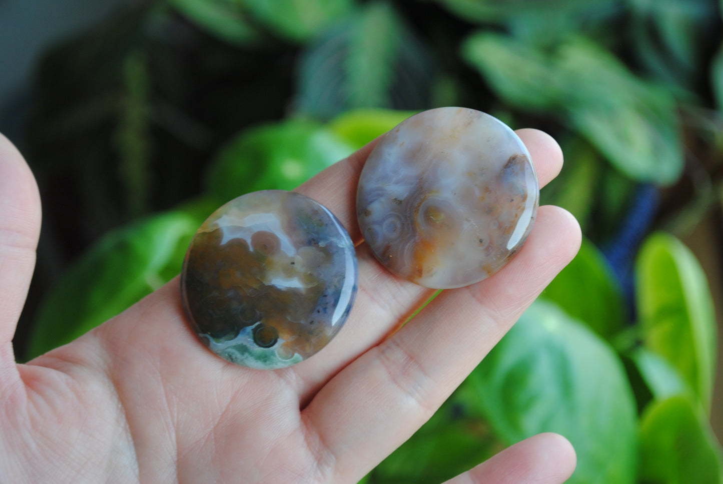 35mm round Ocean Jasper cabochons
