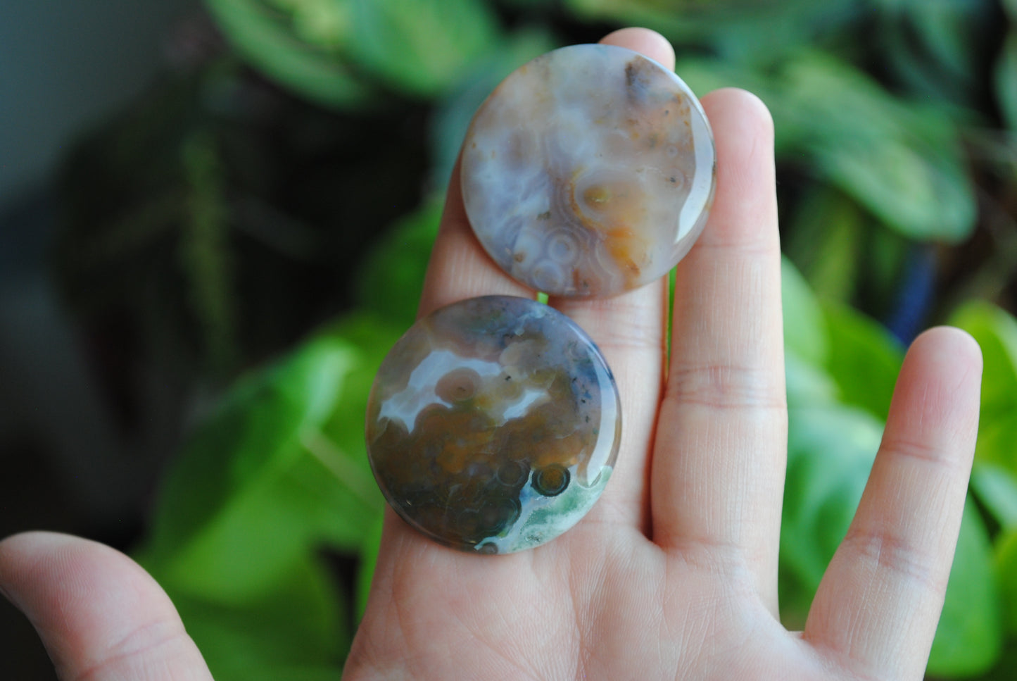 35mm round Ocean Jasper cabochons