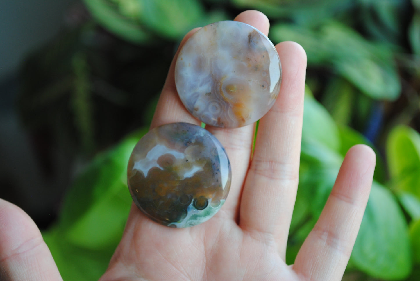 35mm round Ocean Jasper cabochons