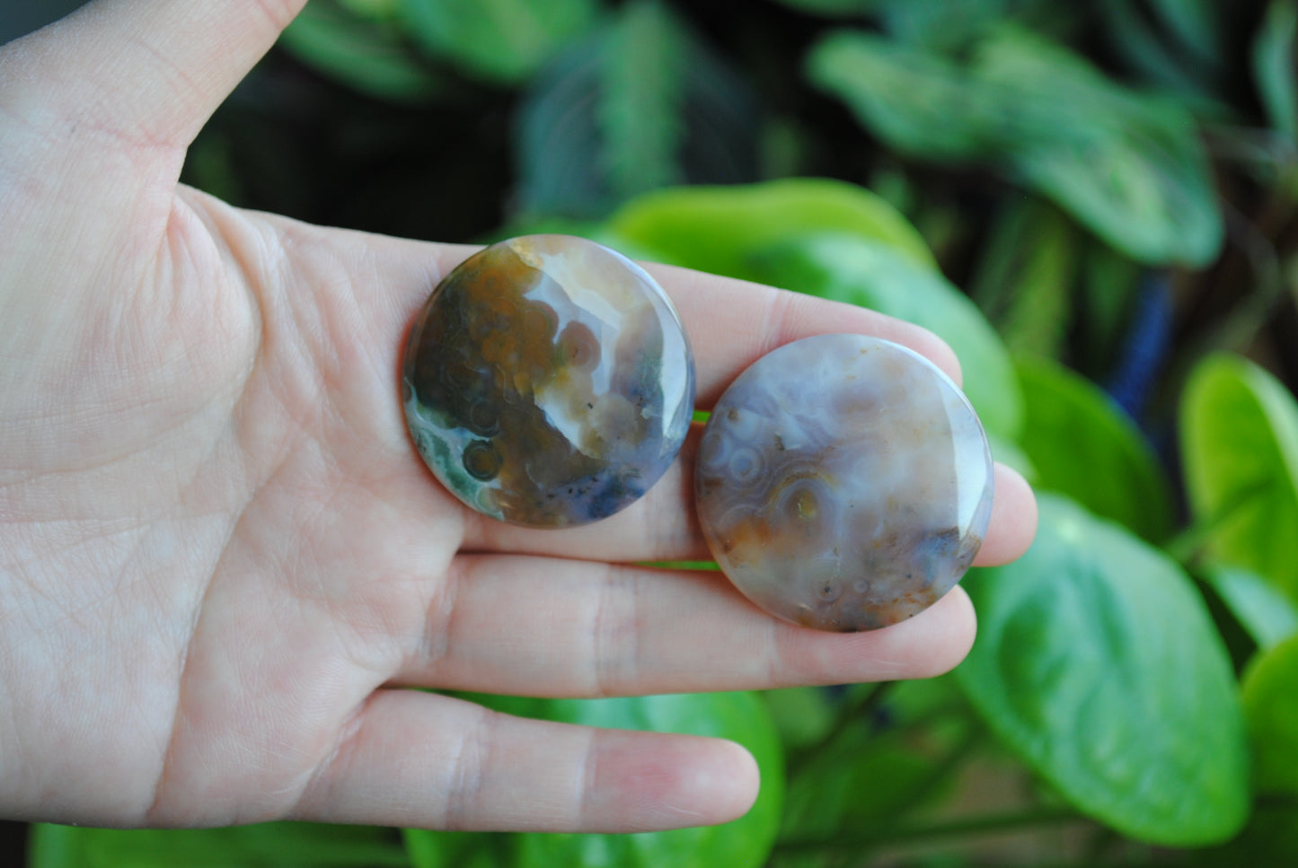 35mm round Ocean Jasper cabochons