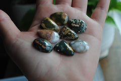 Ocean Jasper cabochons mixed lot