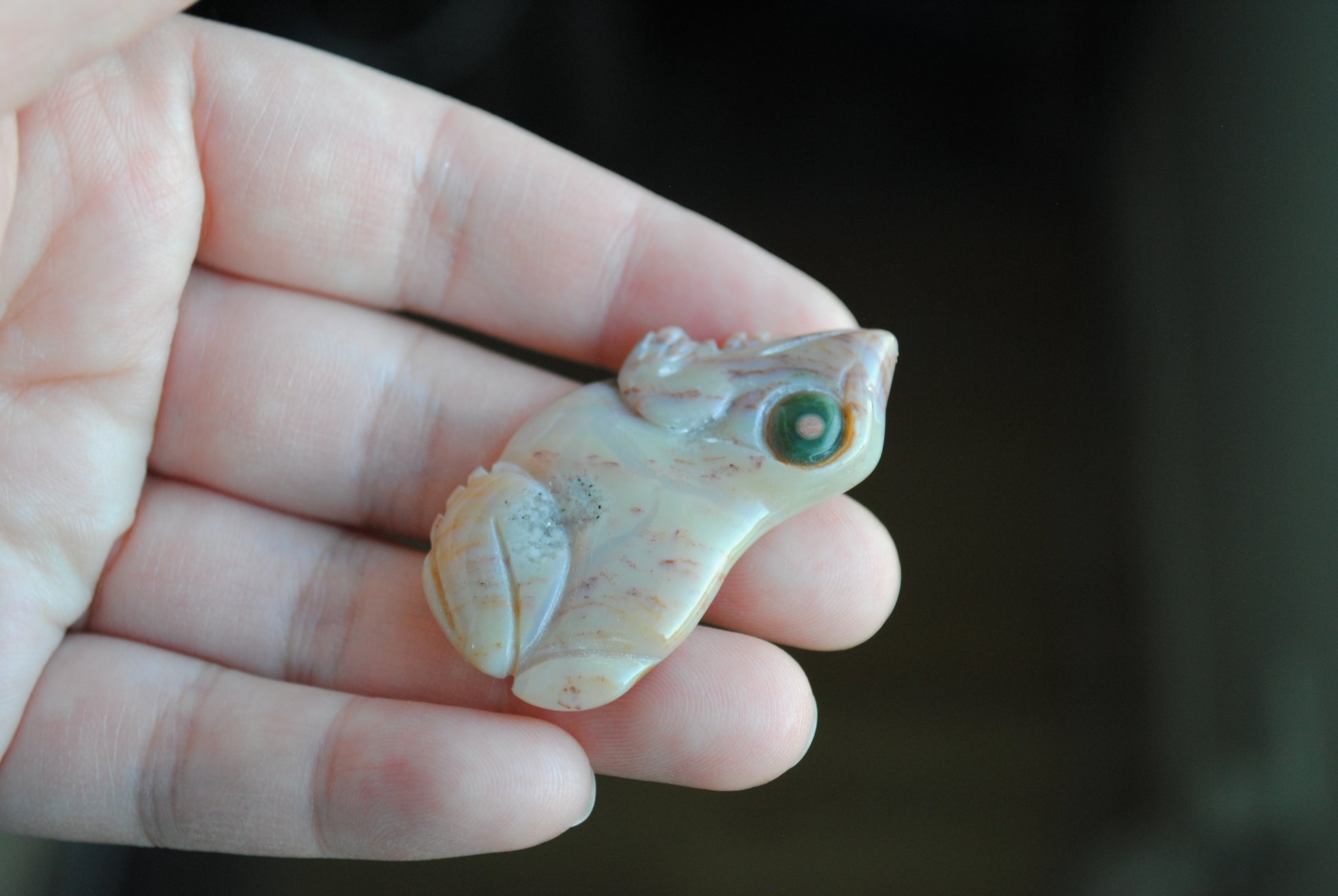 Carved stone frog held in a hand against a dark background