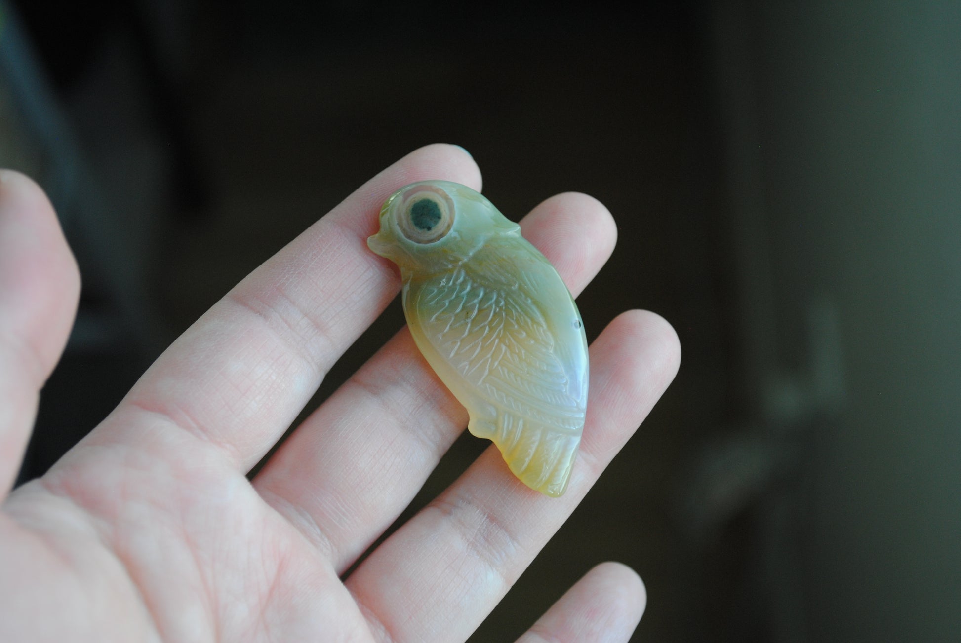 Ocean Jasper carved bird held in a hand against a blurred background