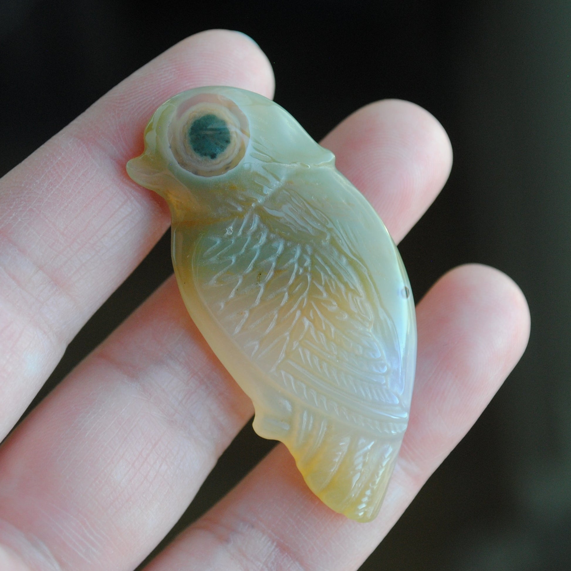 Ocean Jasper carved bird held in a hand against a blurred background