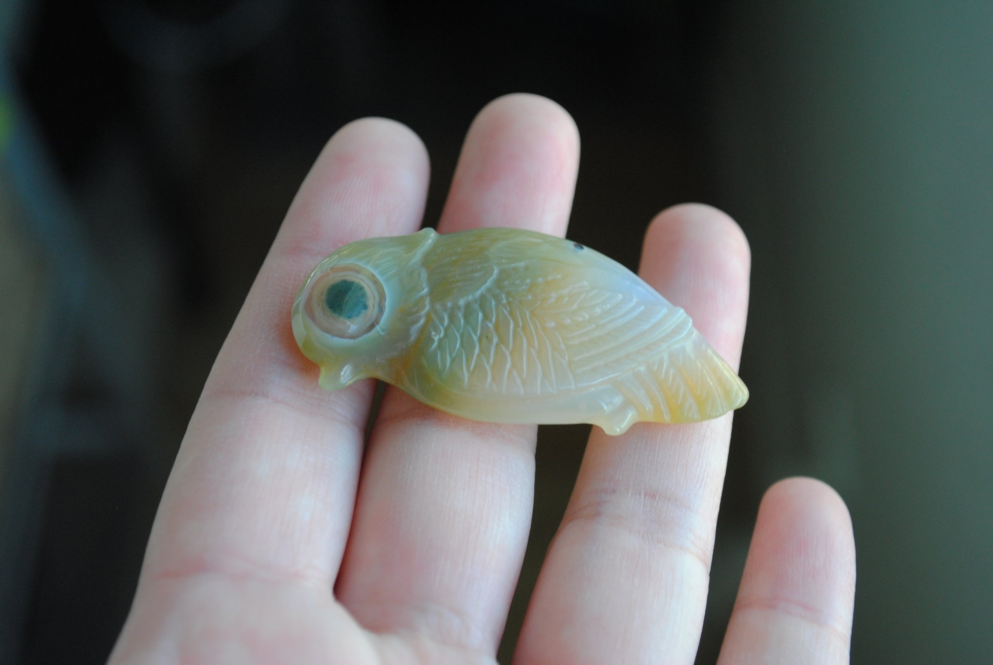 Ocean Jasper carved bird held in a hand against a blurred background