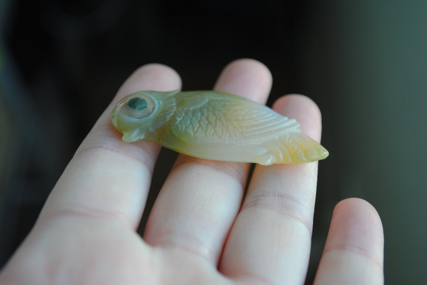 Ocean Jasper carved bird held in a hand against a blurred background