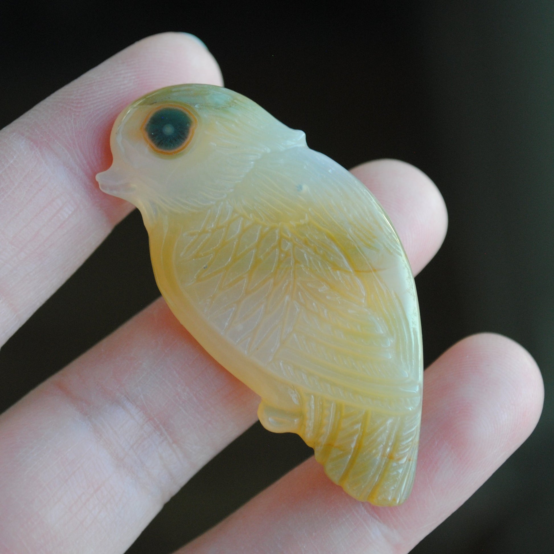 Ocean Jasper carved bird held in a hand against a blurred background