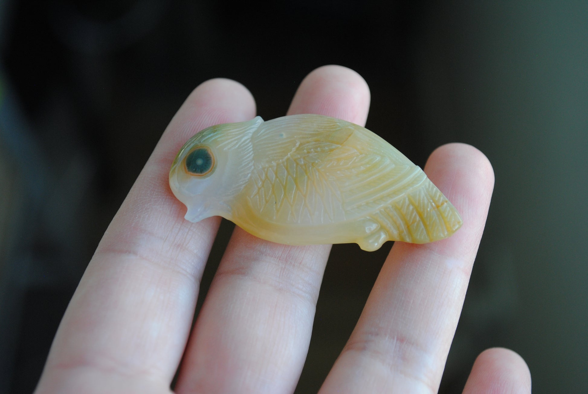 Ocean Jasper carved bird held in a hand against a blurred background
