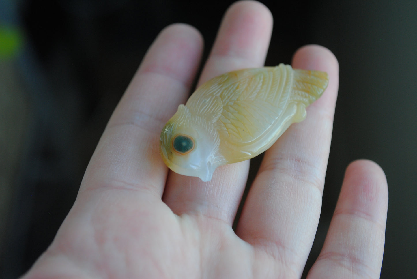 Ocean Jasper carved bird held in a hand against a blurred background