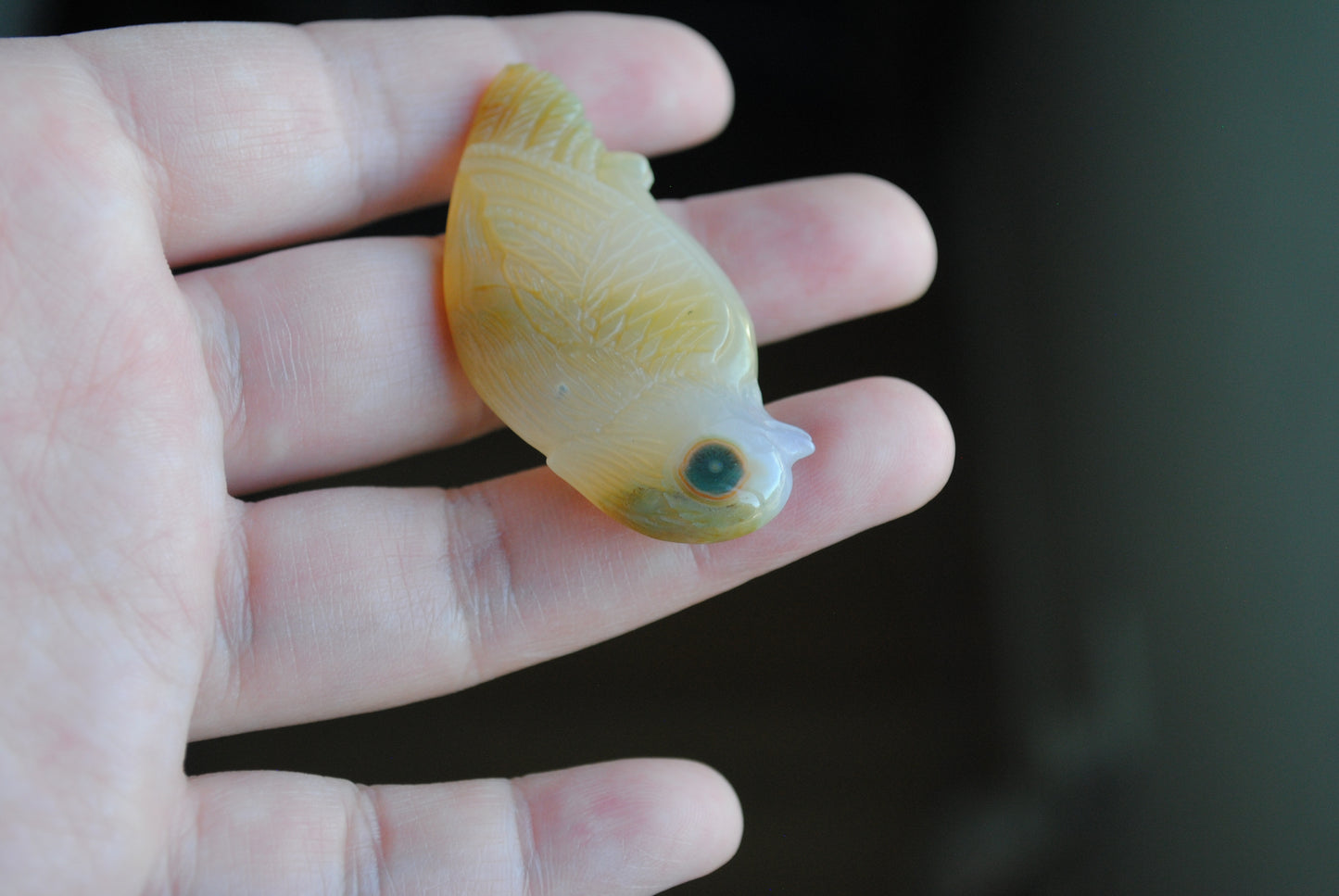 Ocean Jasper carved bird held in a hand against a blurred background