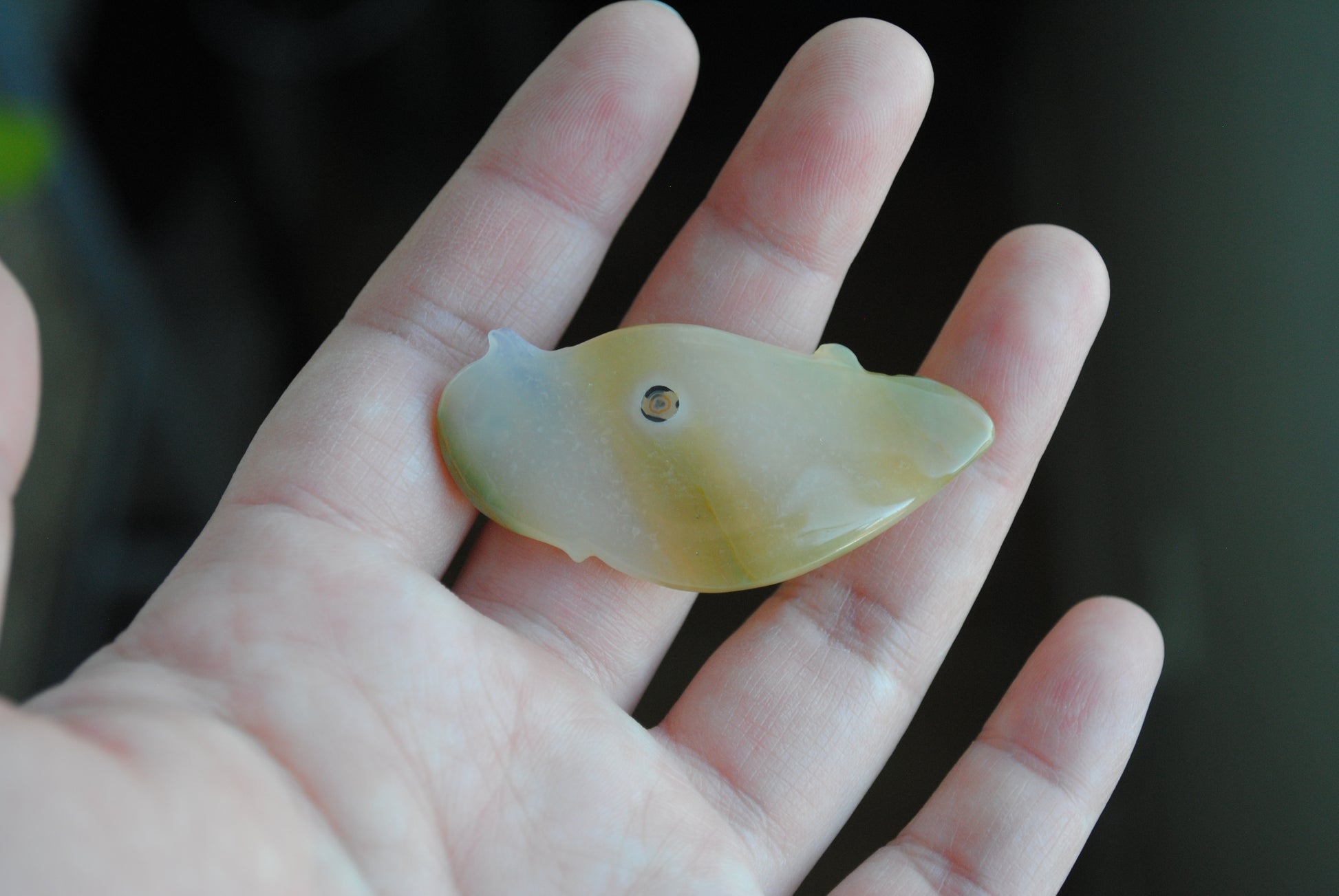 Ocean Jasper carved bird held in a hand against a blurred background