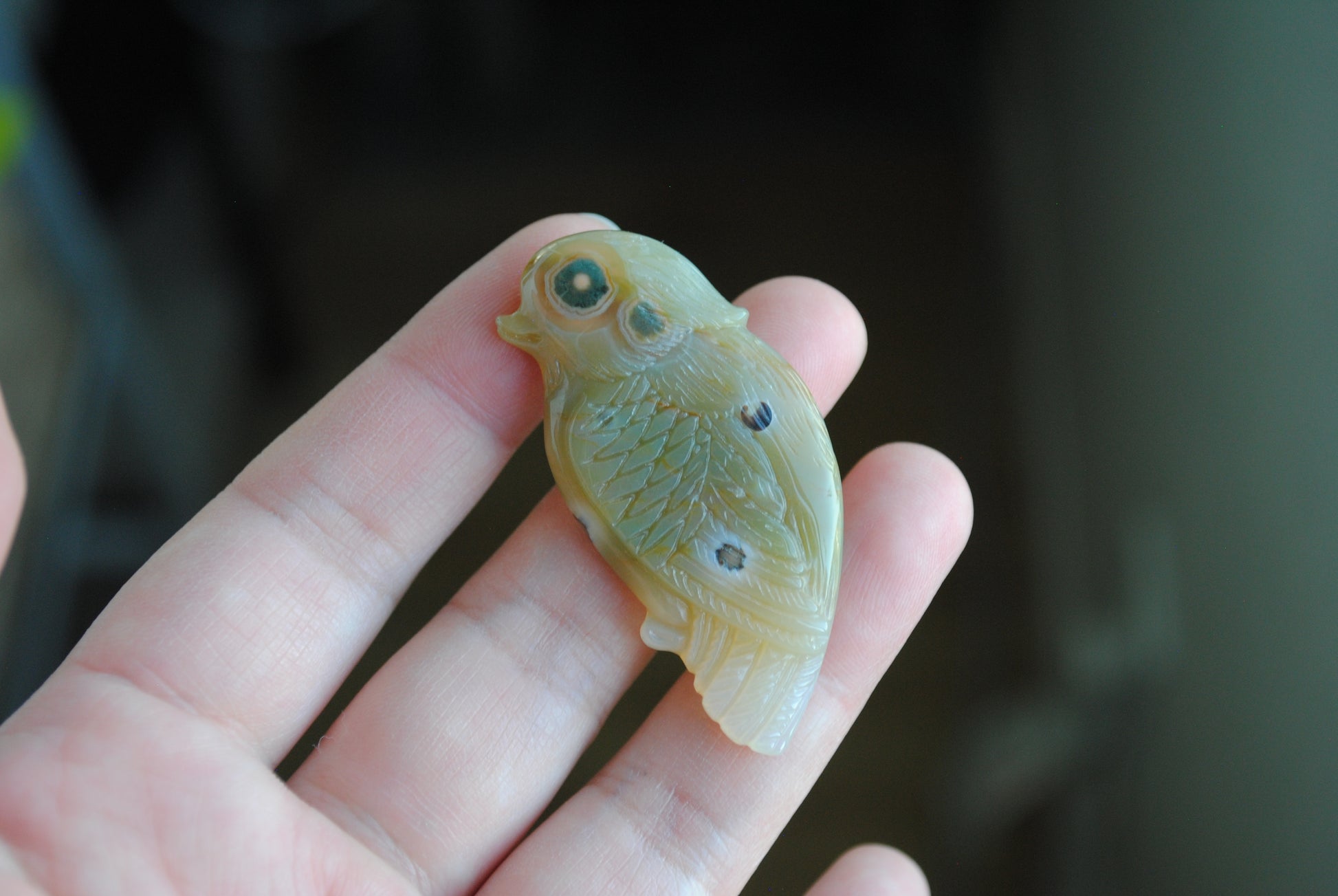Ocean Jasper carved bird held in a hand against a blurred background