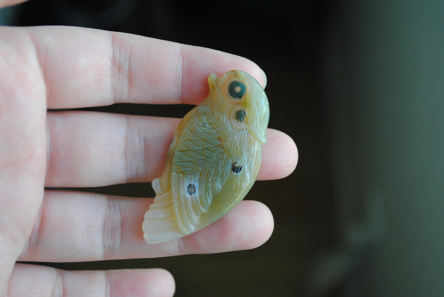 Ocean Jasper carved bird held in a hand against a blurred background