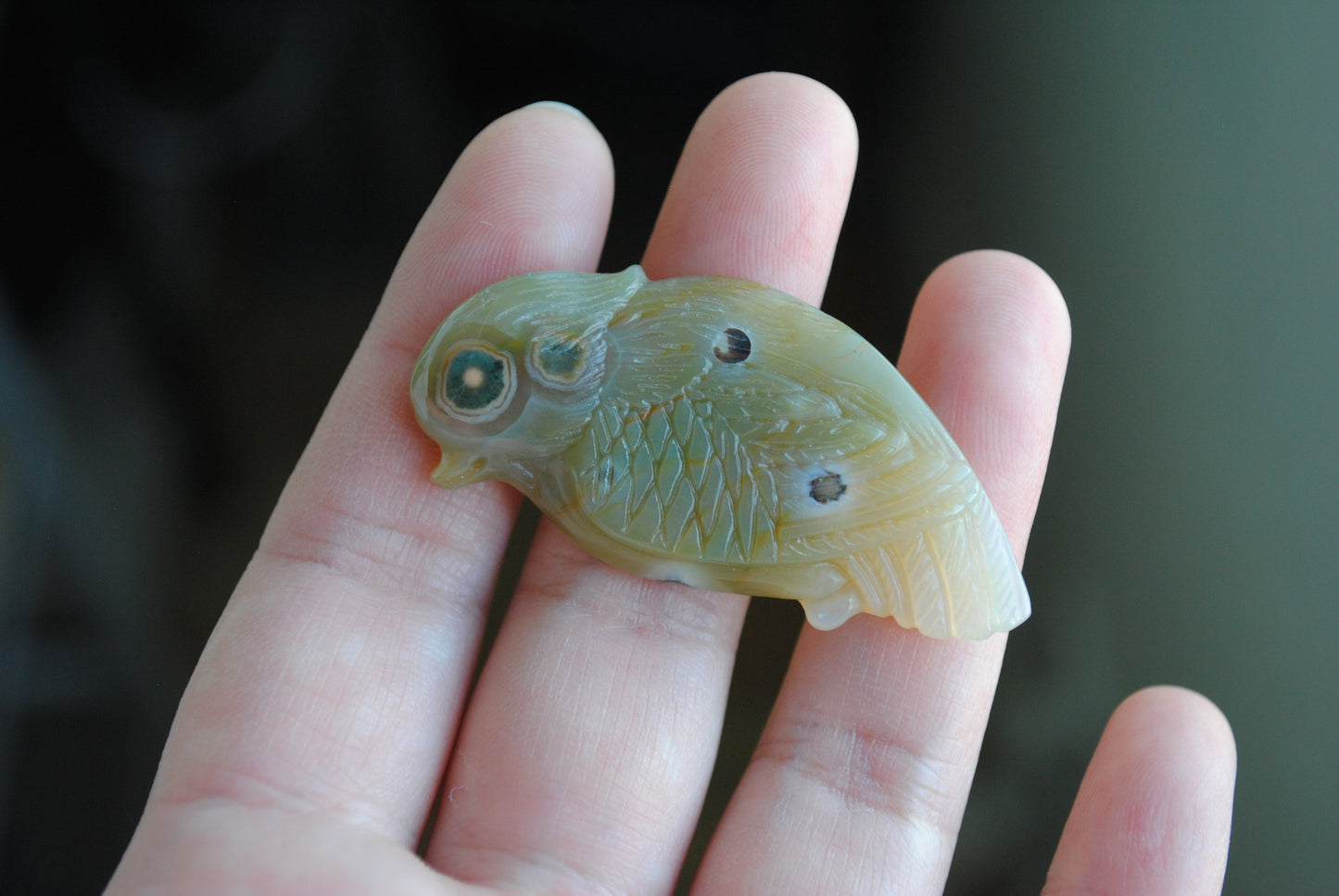 Ocean Jasper carved bird held in a hand against a blurred background
