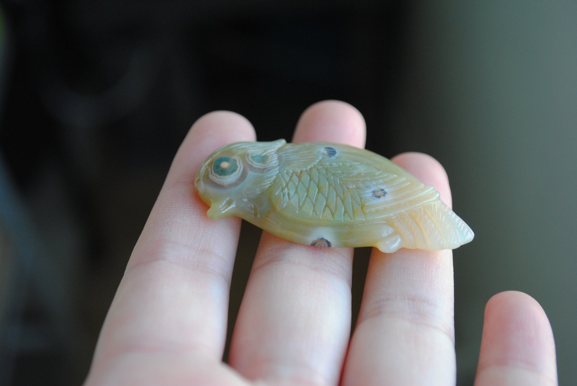 Ocean Jasper carved bird held in a hand against a blurred background