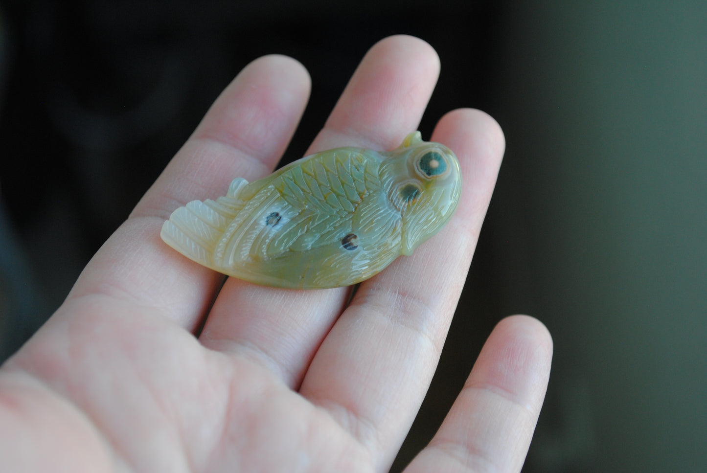 Ocean Jasper carved bird held in a hand against a blurred background