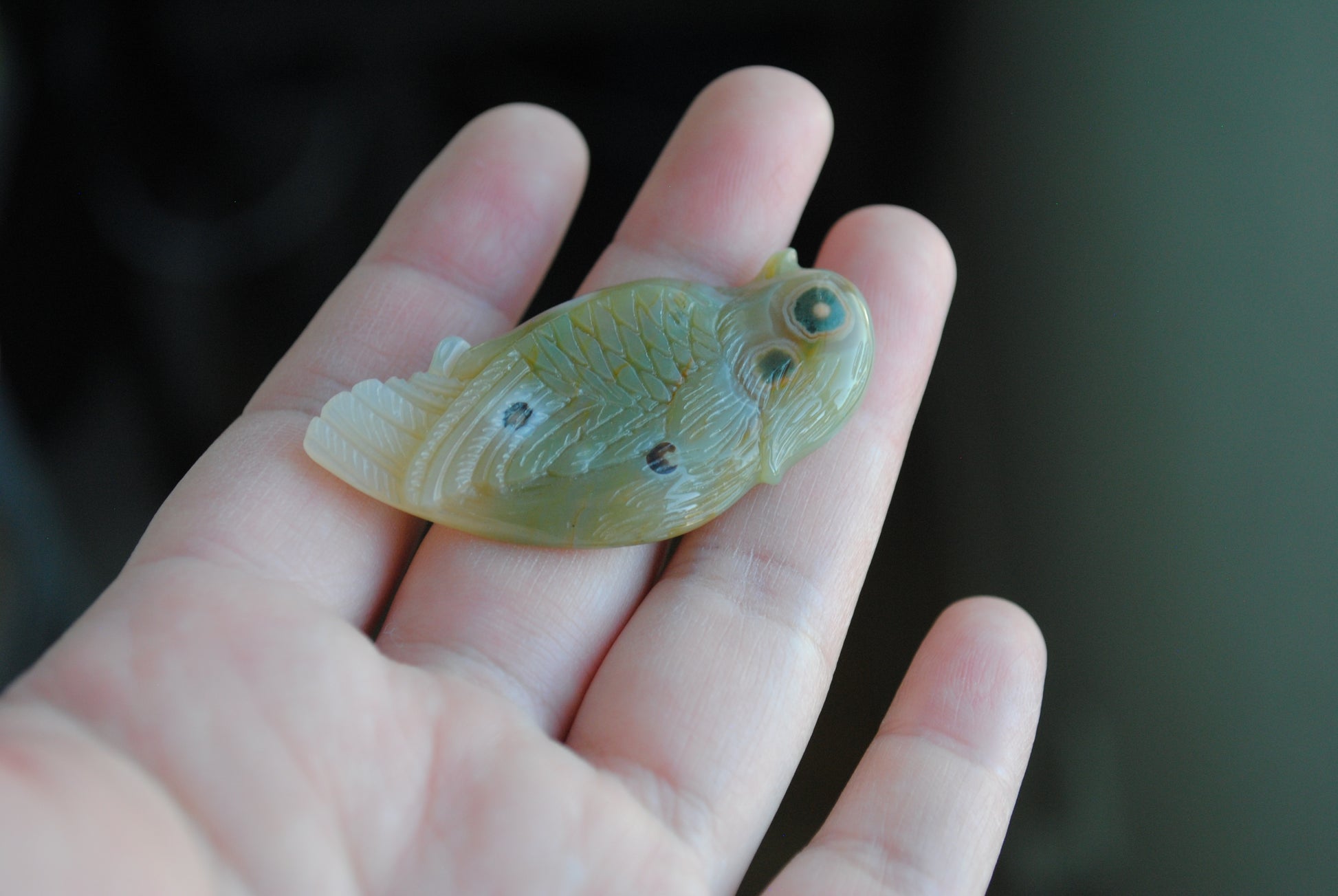 Ocean Jasper carved bird held in a hand against a blurred background