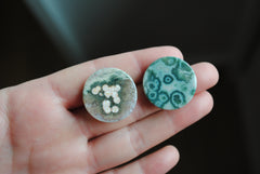 25mm round Ocean Jasper cabochons